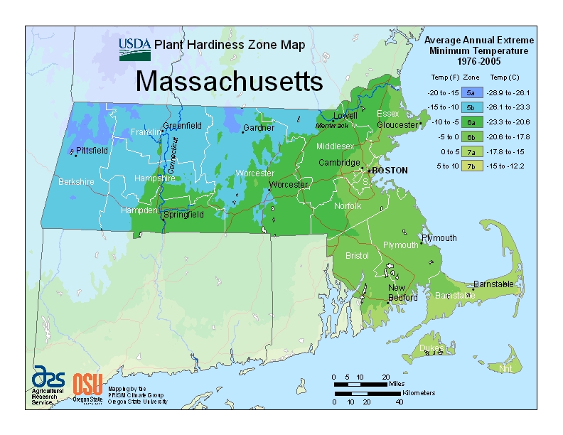 Hardiness ma Map Image