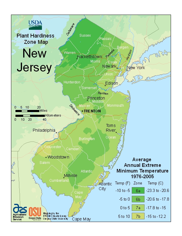 Hardiness nj Map Image