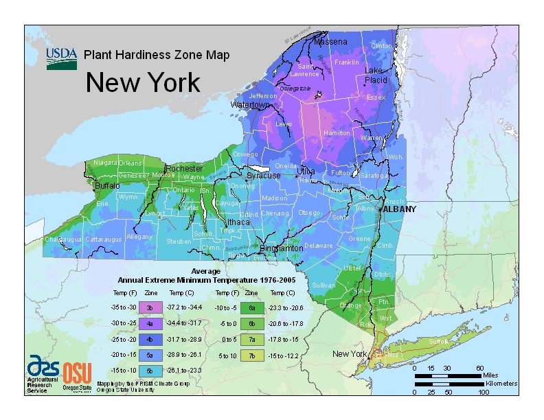 Hardiness ny Map Image