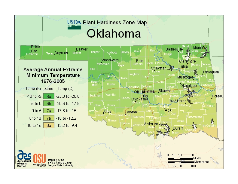 Hardiness ok Map Image