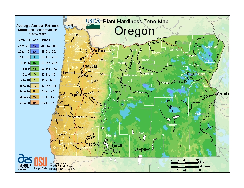 Hardiness or Map Image