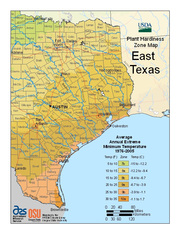 Hardiness Texas East Map Image
