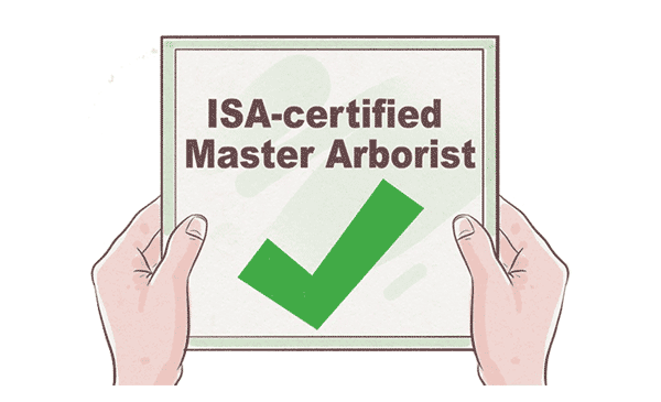 qualified arborist ticket