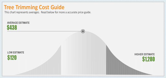 tree-trimming-cost-average-price-infographic