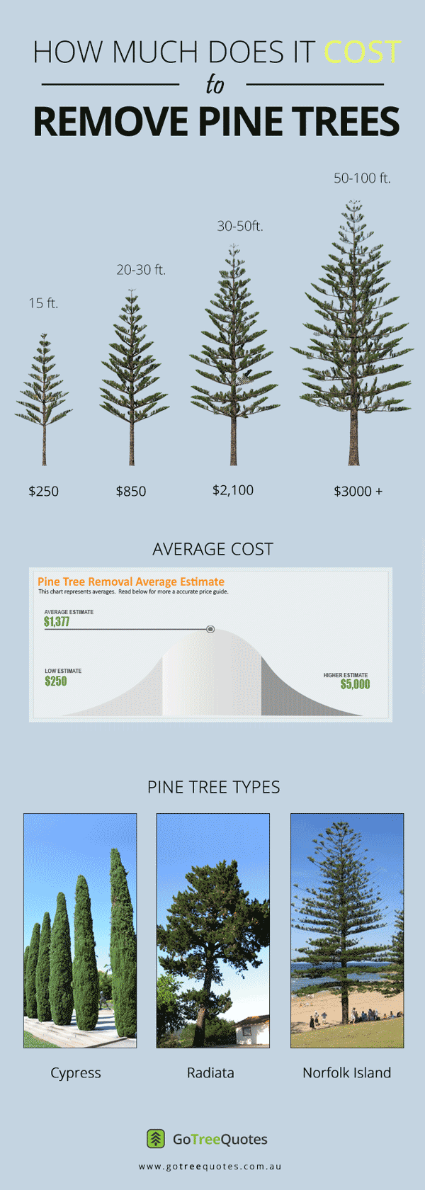 PINE-TREE-REMOVAL-COST-INFOGRAPHIC