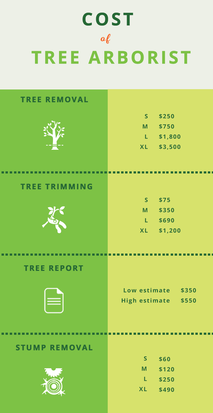 how much does an arborist cost infographic