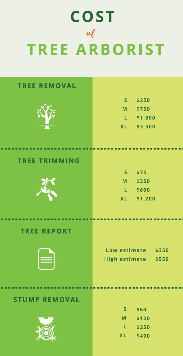 Tree Trimming Chilliwack