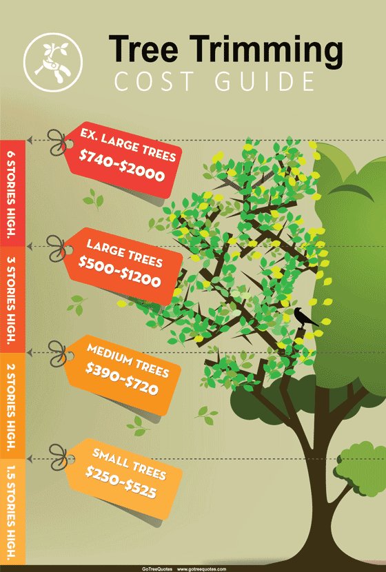 tree trimming cost guide USA