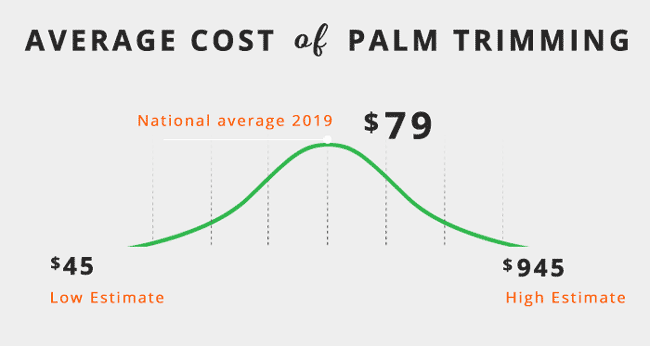 palm tree removal cost calculator