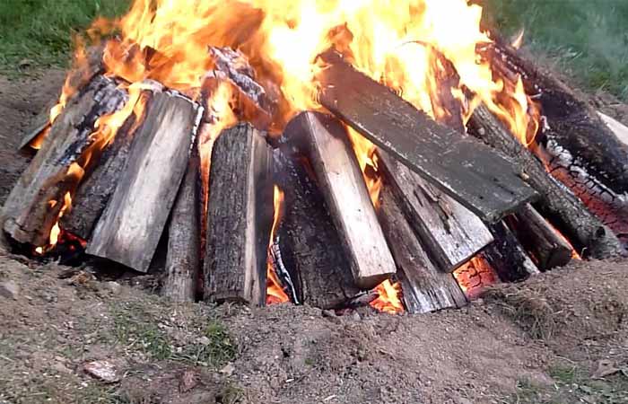 burn out tree stump with timber around stump