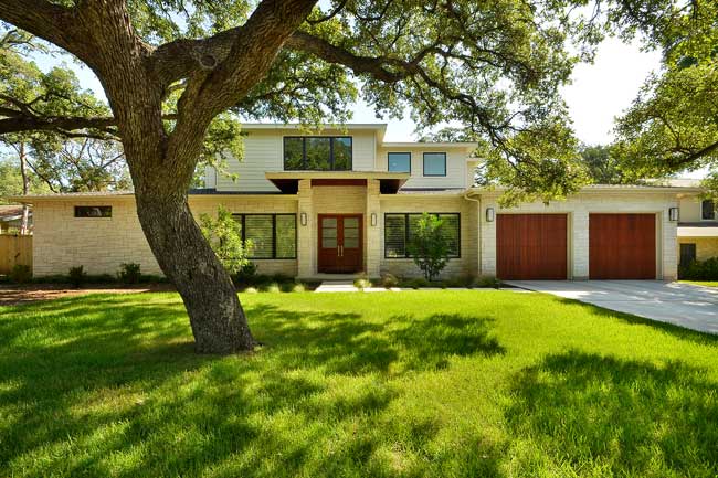 oak tree in front yard