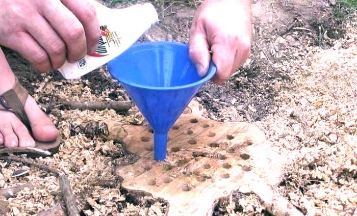 How to Rot a Tree Stump Quickly - Chemical, Natural & Other