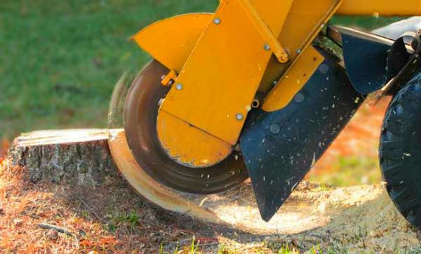 stump being removed by vermeer grinder