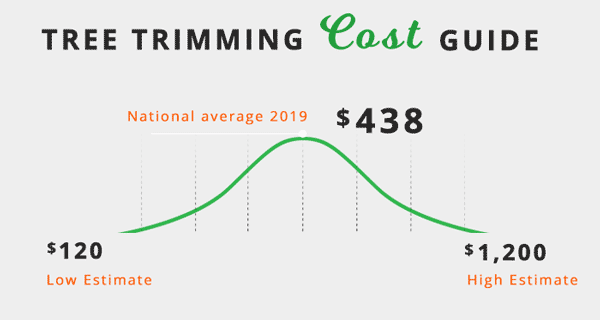 tree trimming cost guide