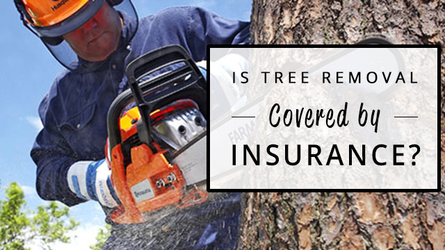 is tree removal covered by insurance