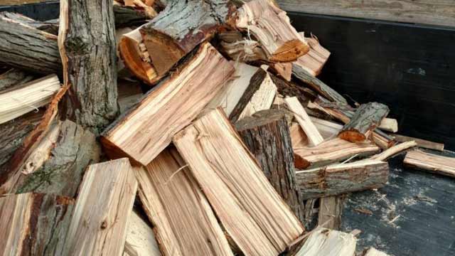 firewood in pile