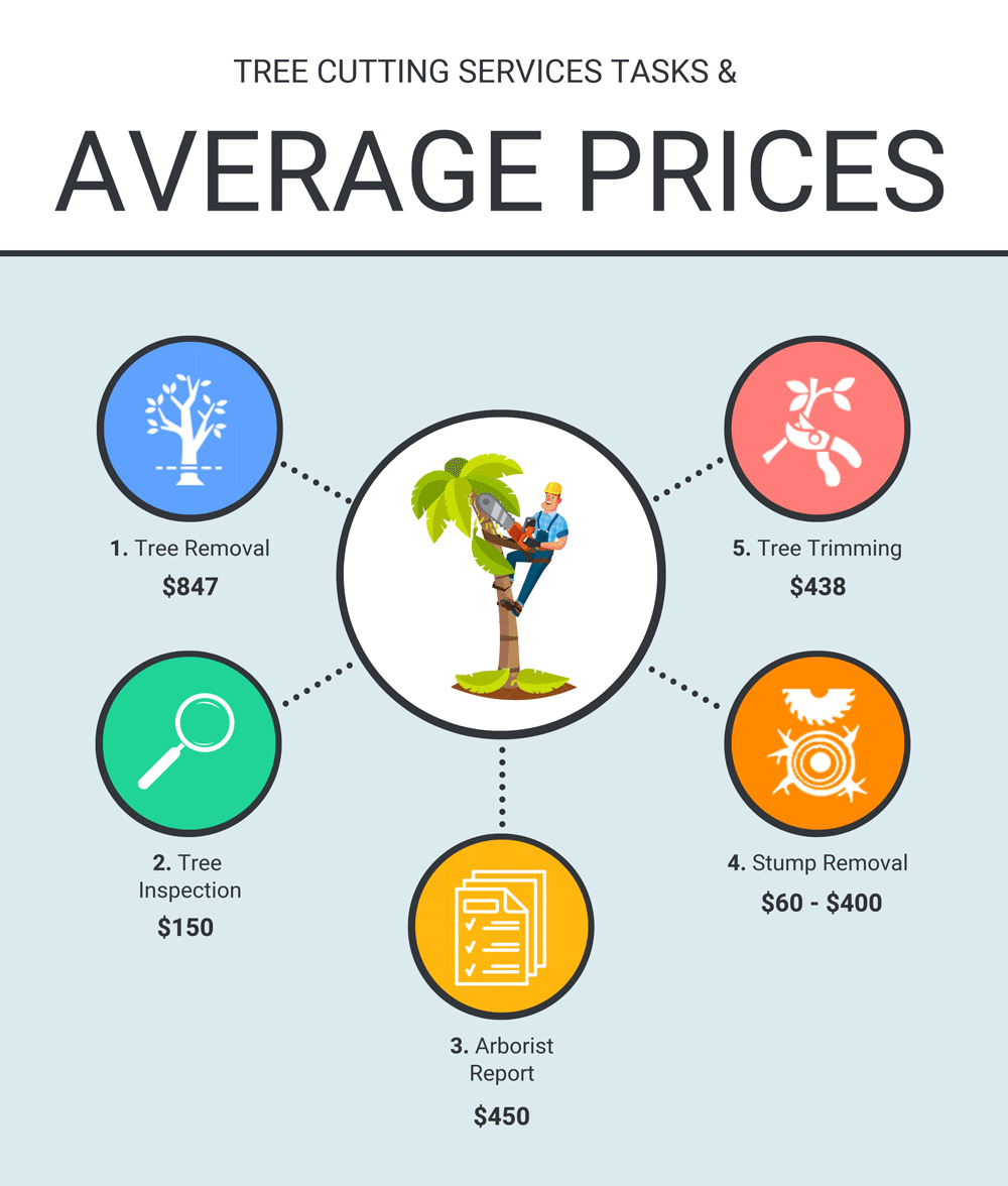 TREE CUTTING SERVICES TASKS AND AVERAGE PRICES