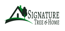 Signatiue-tree-and-home-tampa-fl-logo