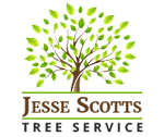 Jesse Scott’s Tree Service