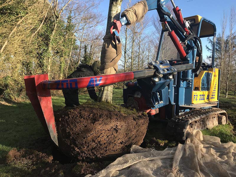 tree being dug up and transported