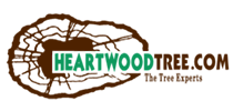 heartwoodtree