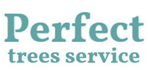 perfect trees service.business