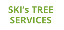 ski tree services