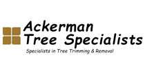 ackermantreespecialists