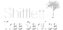 shiffletttreeservice