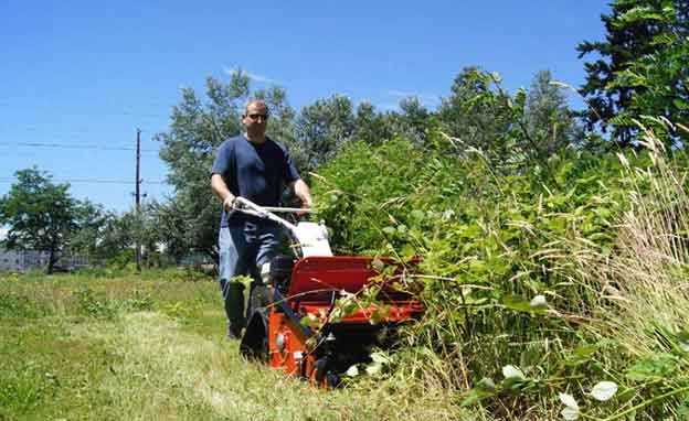 Brush Clearing Service