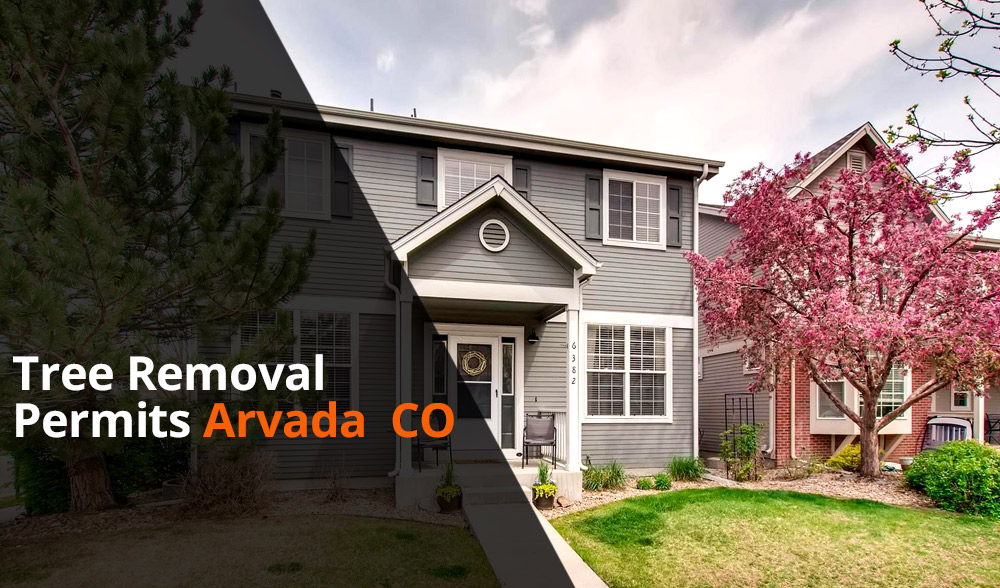 Tree removal permit Arvada