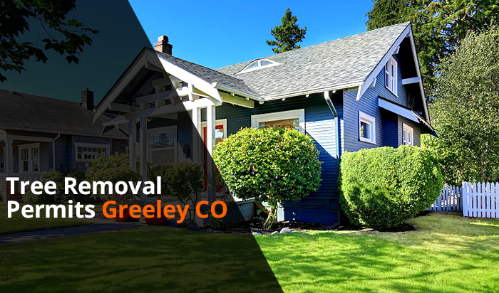 Tree removal permit Greeley