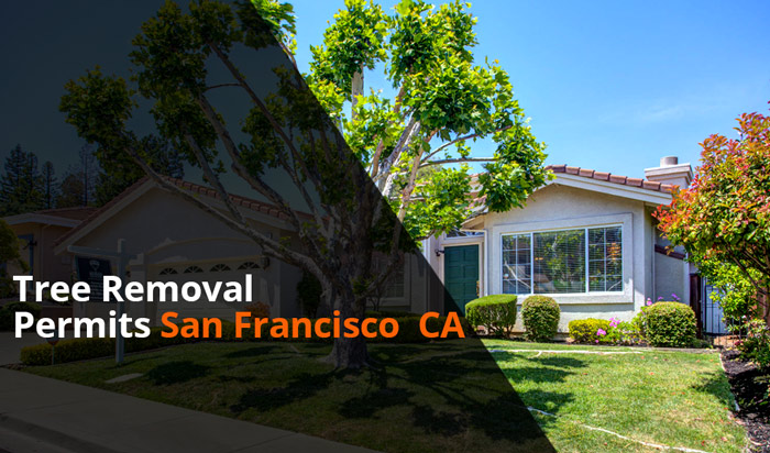 Tree removal permit SanFrancisco