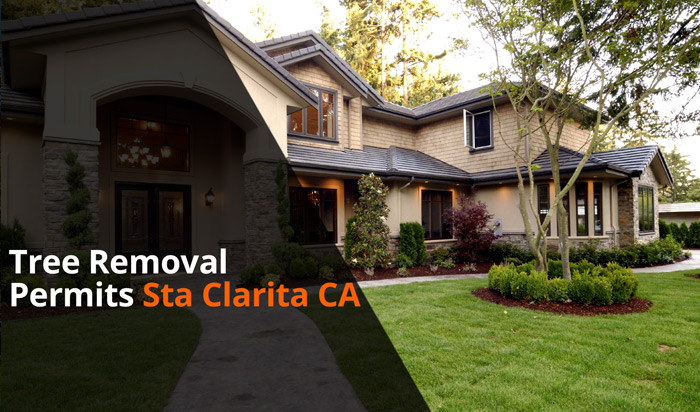 Tree removal permit Santa Clarita