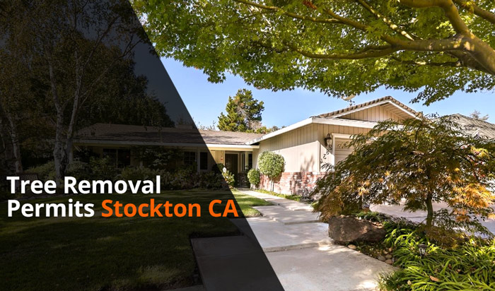 Tree removal permit Stockton