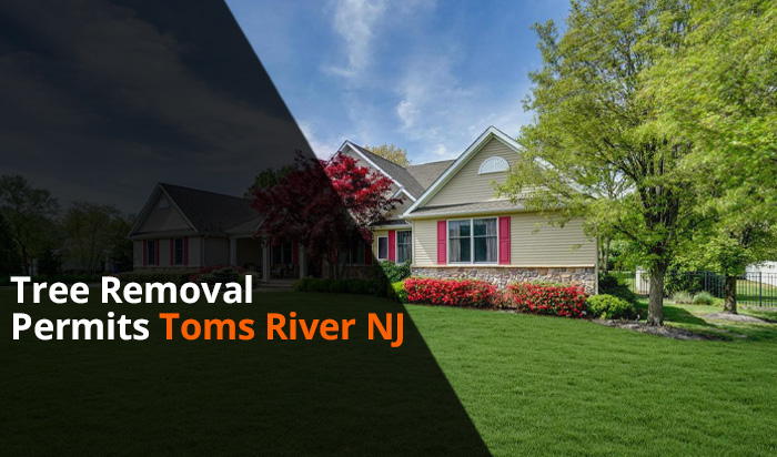 Tree removal permit Toms River v1