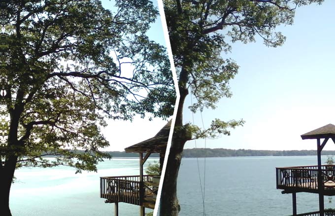 before and after trimming branches over roof