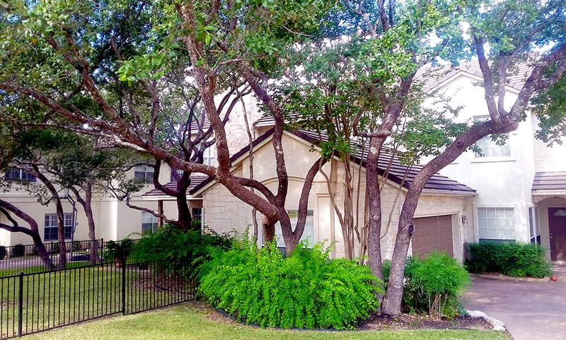 branches too close to house