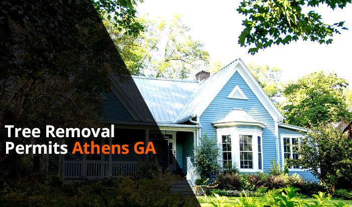 Tree removal permit Athens v1