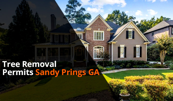 Tree removal permit Sandy Springs v1