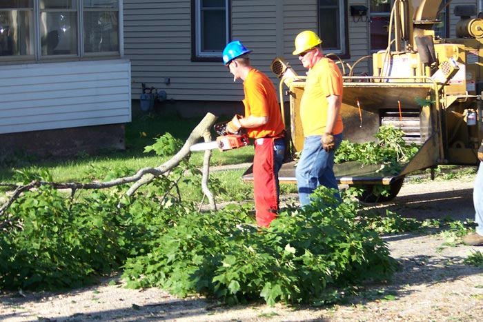 cleaning up tree debris