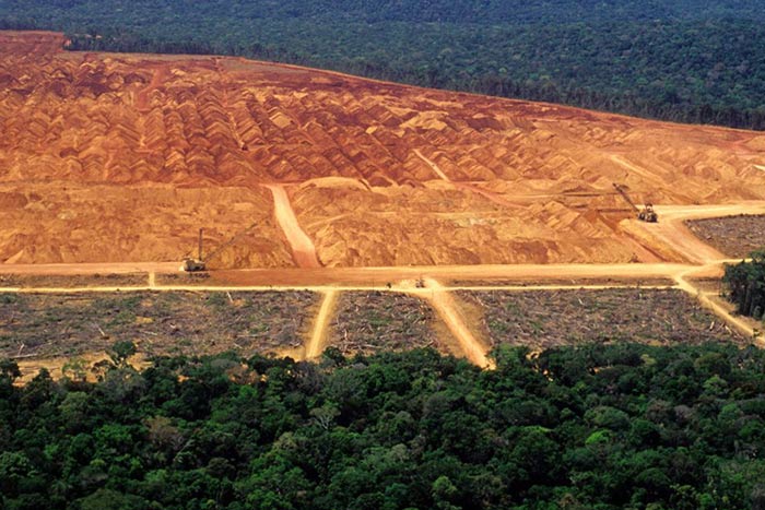 deforestation in the Amazon