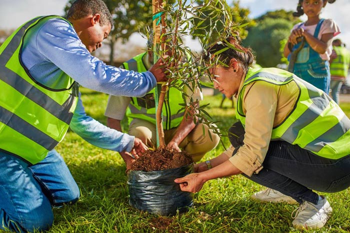 planting trees with locals