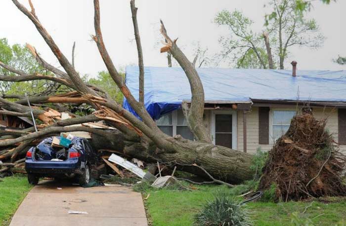 dead tree fallen on home