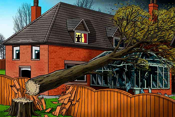 Neighbor’s tree falls on my House roof Who is responsible