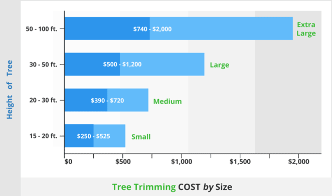 average tree trimming price by height662x392