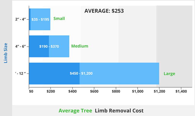 Average tree limb removal cost642