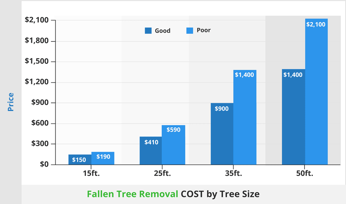 Fallen tree removal cost by tree size1200
