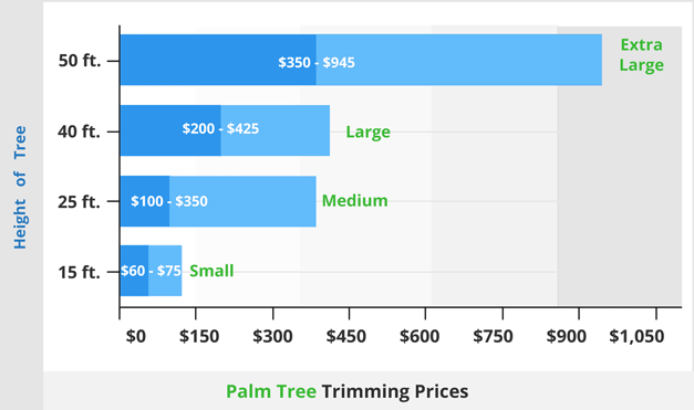 Palm tree trimming prices627