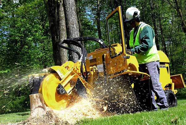 Stump Grinding cost